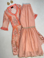 Load image into Gallery viewer, Sheer Embroidered Kurta Set-Bust 36 Waist 28 to 36