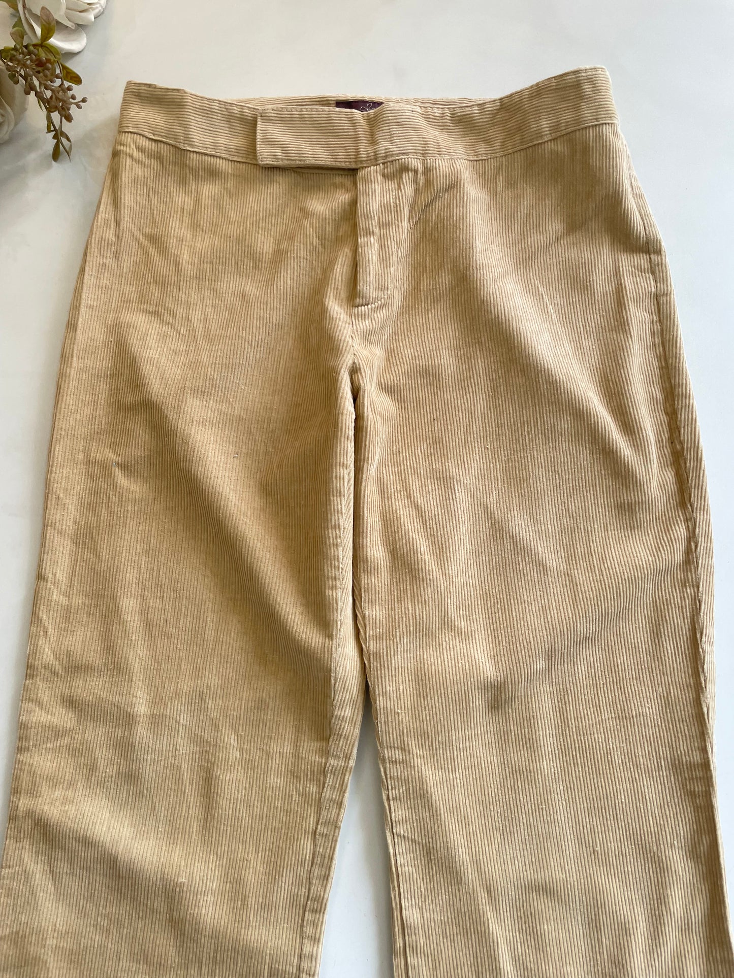 Zara Corduroy Pant-Waist 28