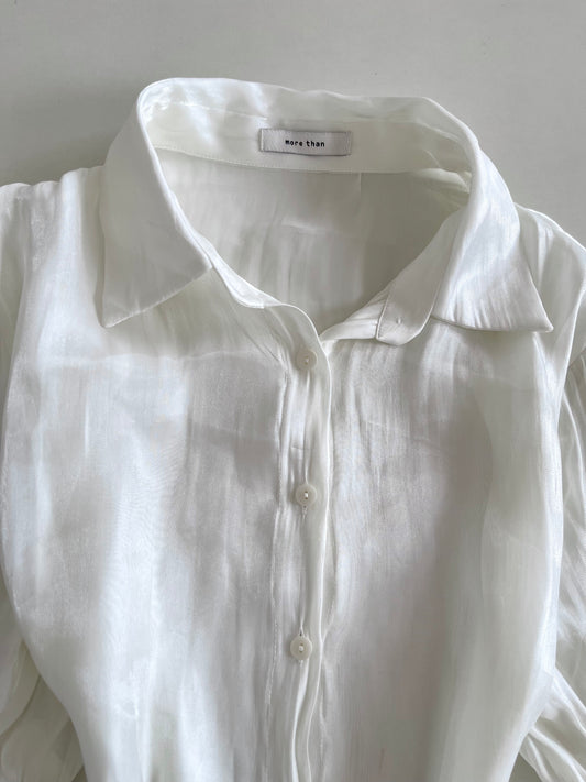 More Than Organza Sheer Shirt-Bust 42