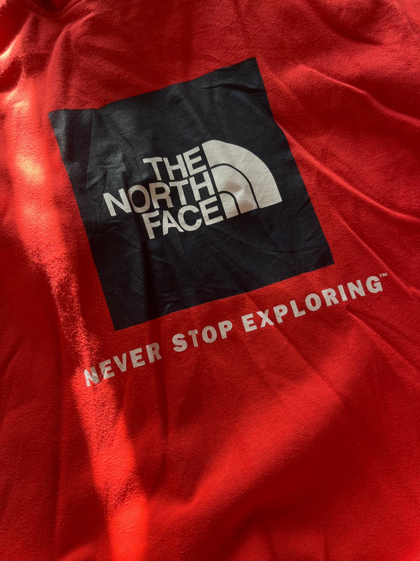 The North Face Vintage Sweatshirt-Chest 46