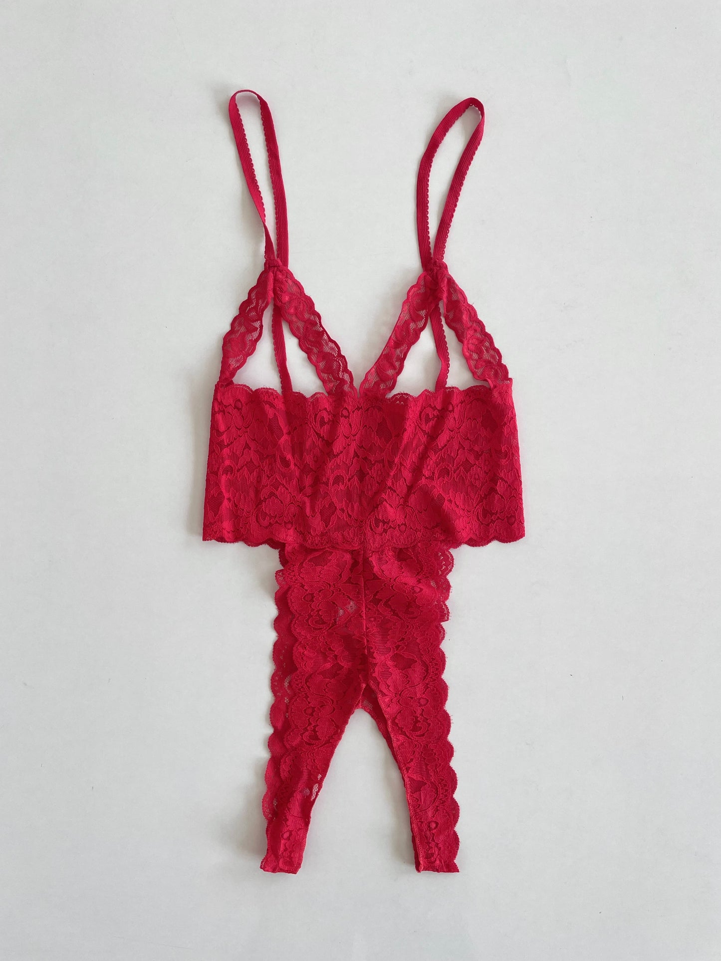 Lacy Sheer Lingerie-Bust 28 to 32