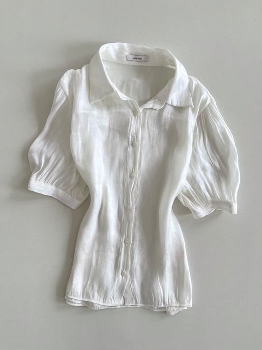 More Than Organza Sheer Shirt-Bust 42