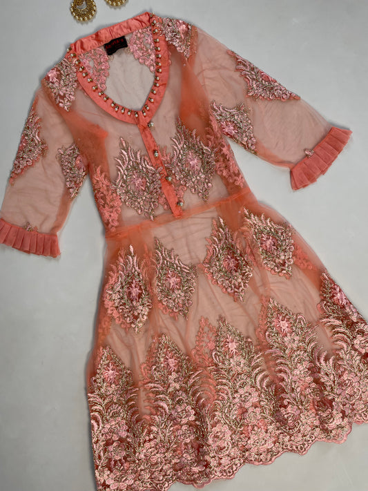 Sheer Embroidered Kurta Set-Bust 36 Waist 28 to 36