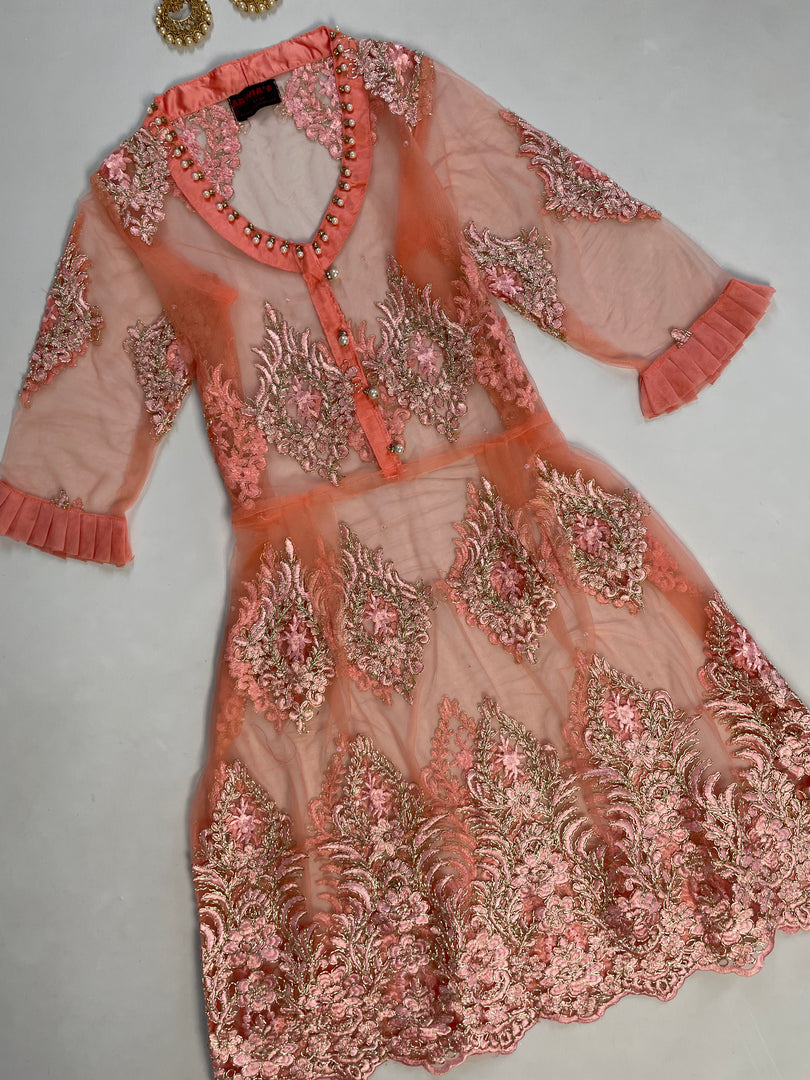 Sheer Embroidered Kurta Set-Bust 36 Waist 28 to 36