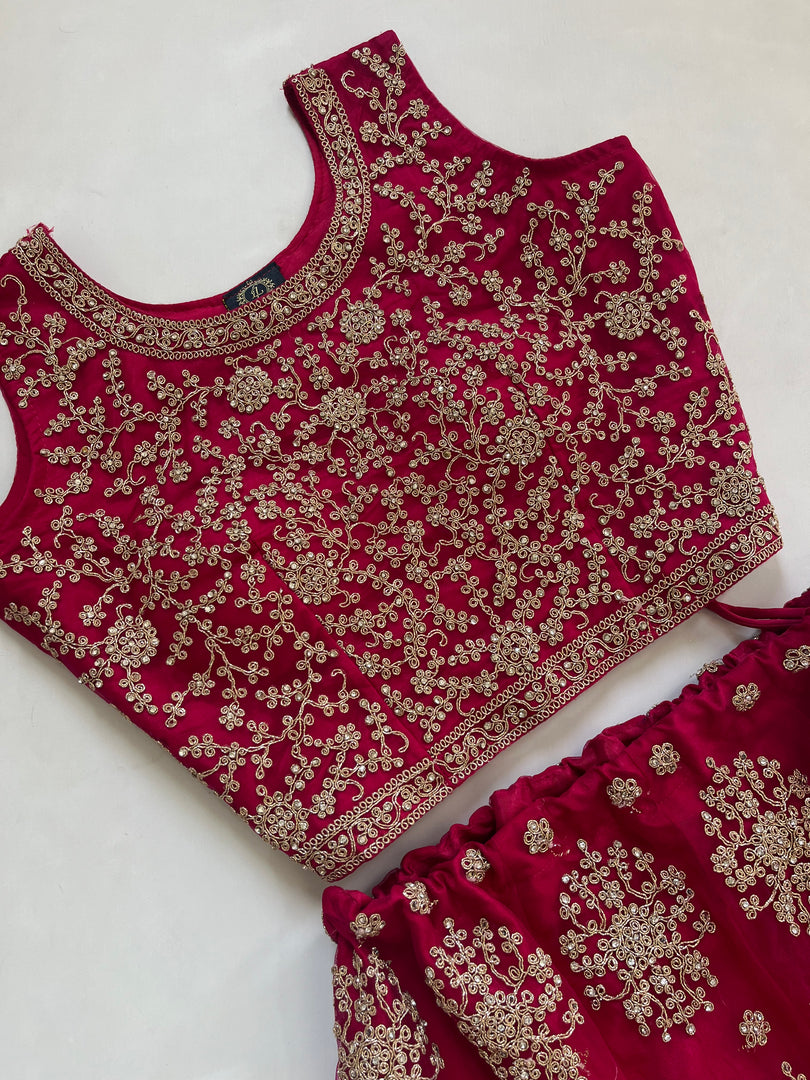 Lehenga Choli-Bust 38 (Alterable) Waist- 24 to 34