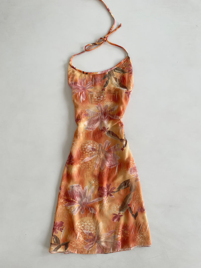 Mirami Sheer Dress-Bust 32