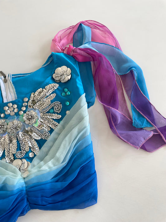 Heavily Hand Embroidered Desi Top-Bust 30 to 32
