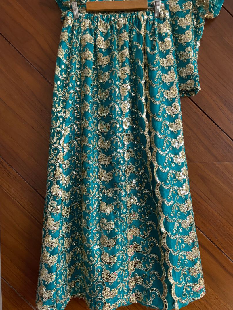 Vintage Sequin Lehenga & Choli-Bust 36 Waist 28 to 32