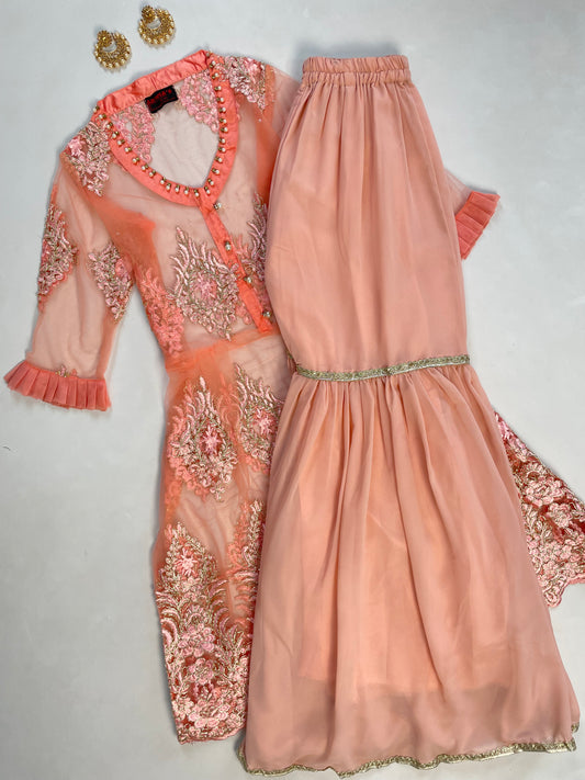 Sheer Embroidered Kurta Set-Bust 36 Waist 28 to 36