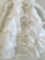 Organza Vintage Dress-Bust 34