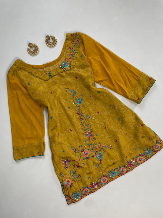 Embroidered Short Kurti-Bust 34