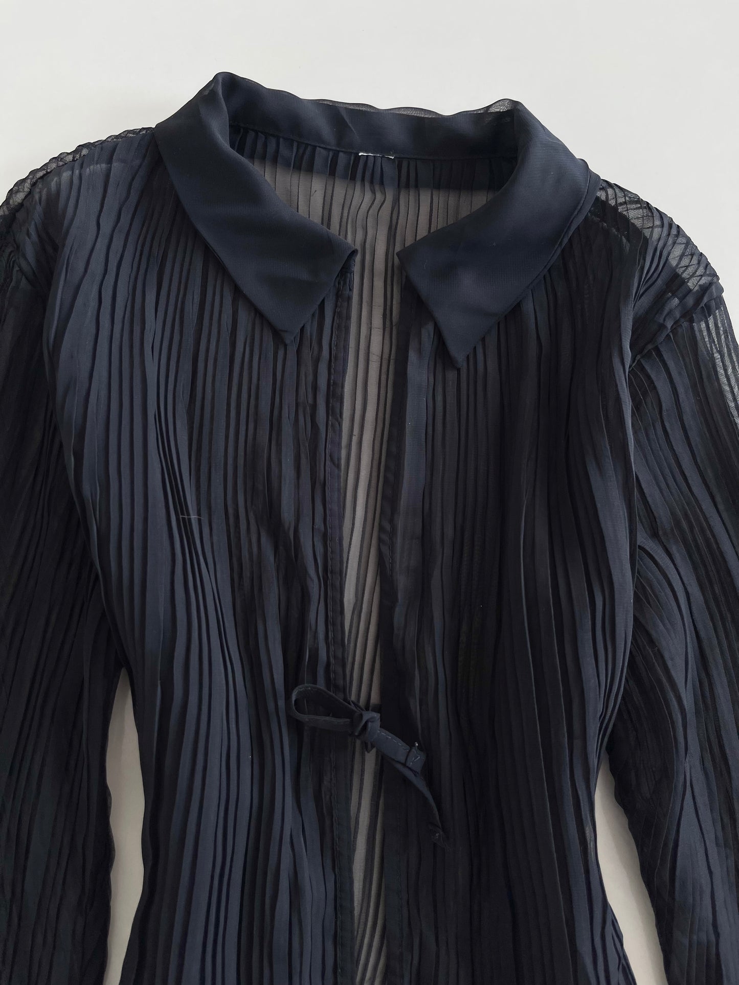 Pleated Sheer Top-Bust 38 to 40