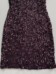 Sequin Dress-Bust 30 to 32