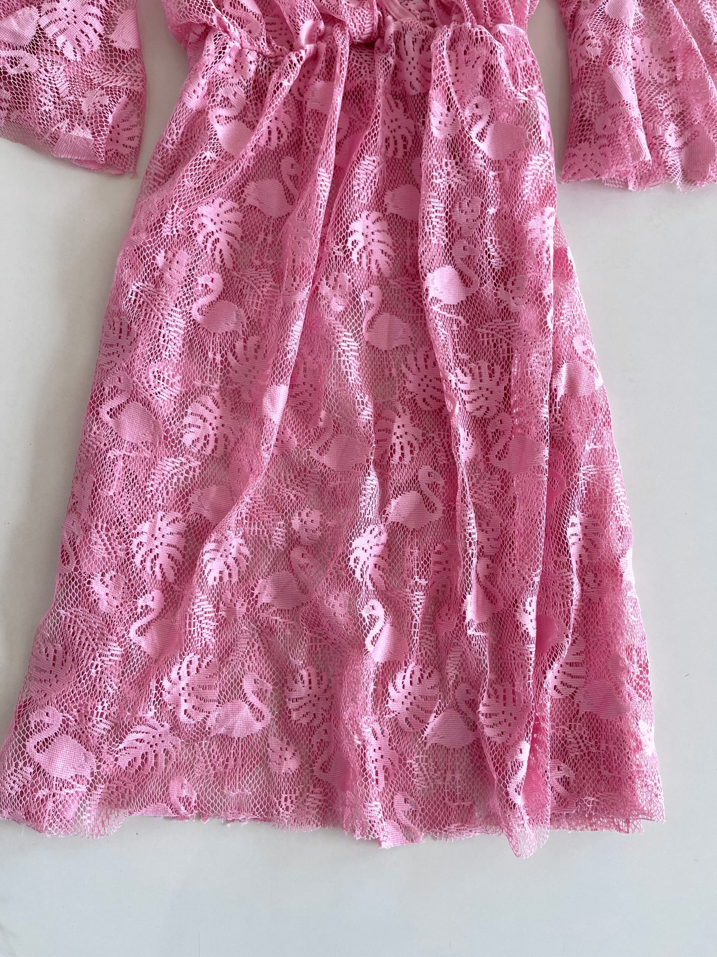 Sheer Dress-Bust 34 to 36
