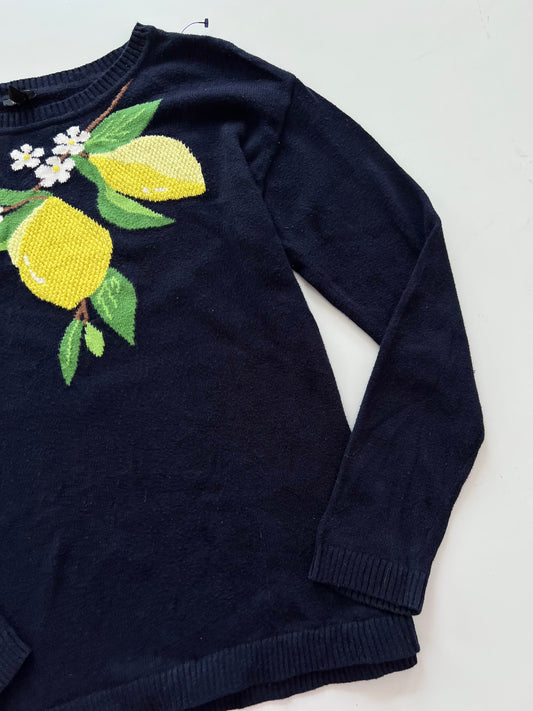 Talbots Embroidered Sweater-Bust 42